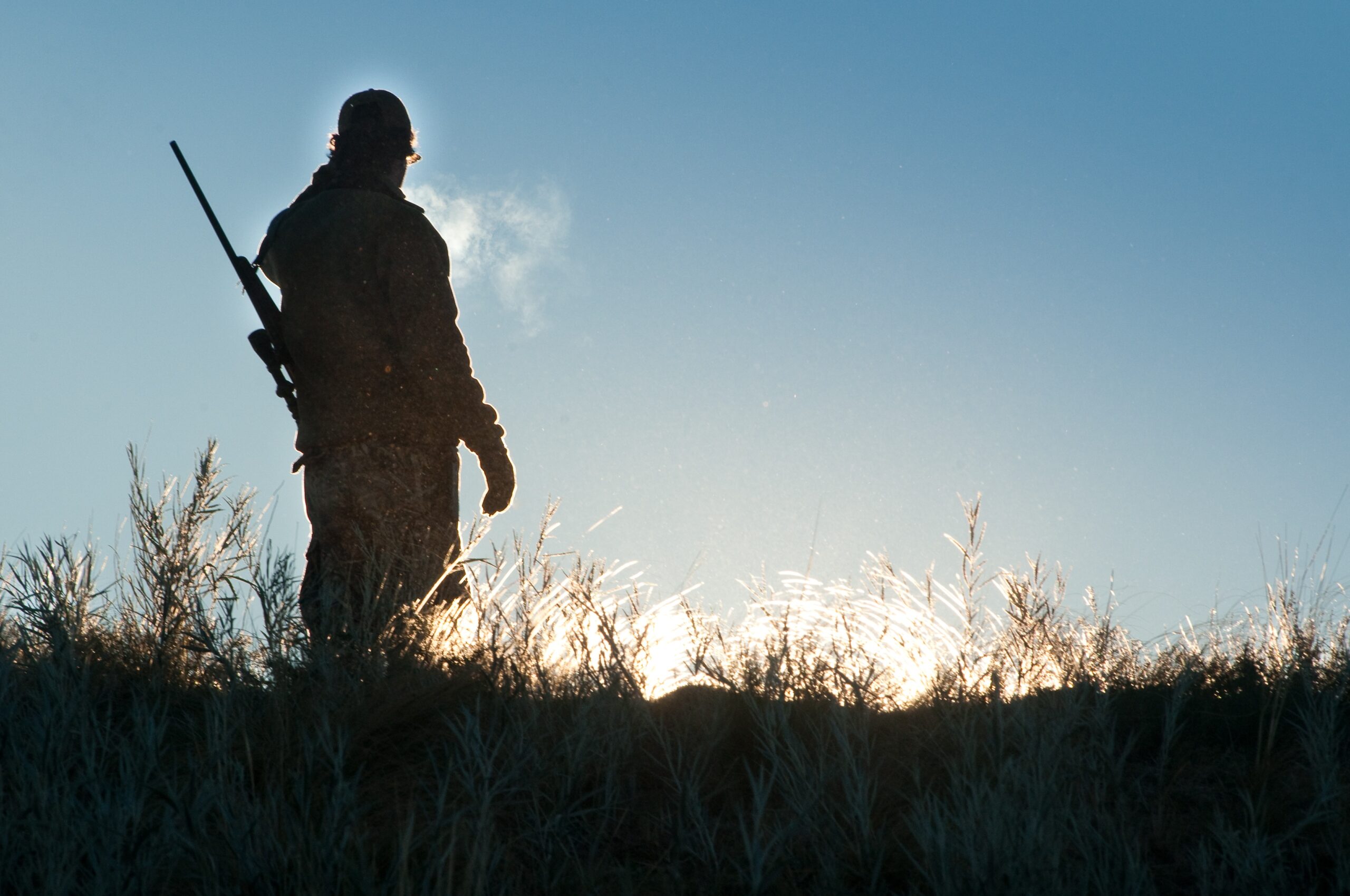 Hunter at dawn