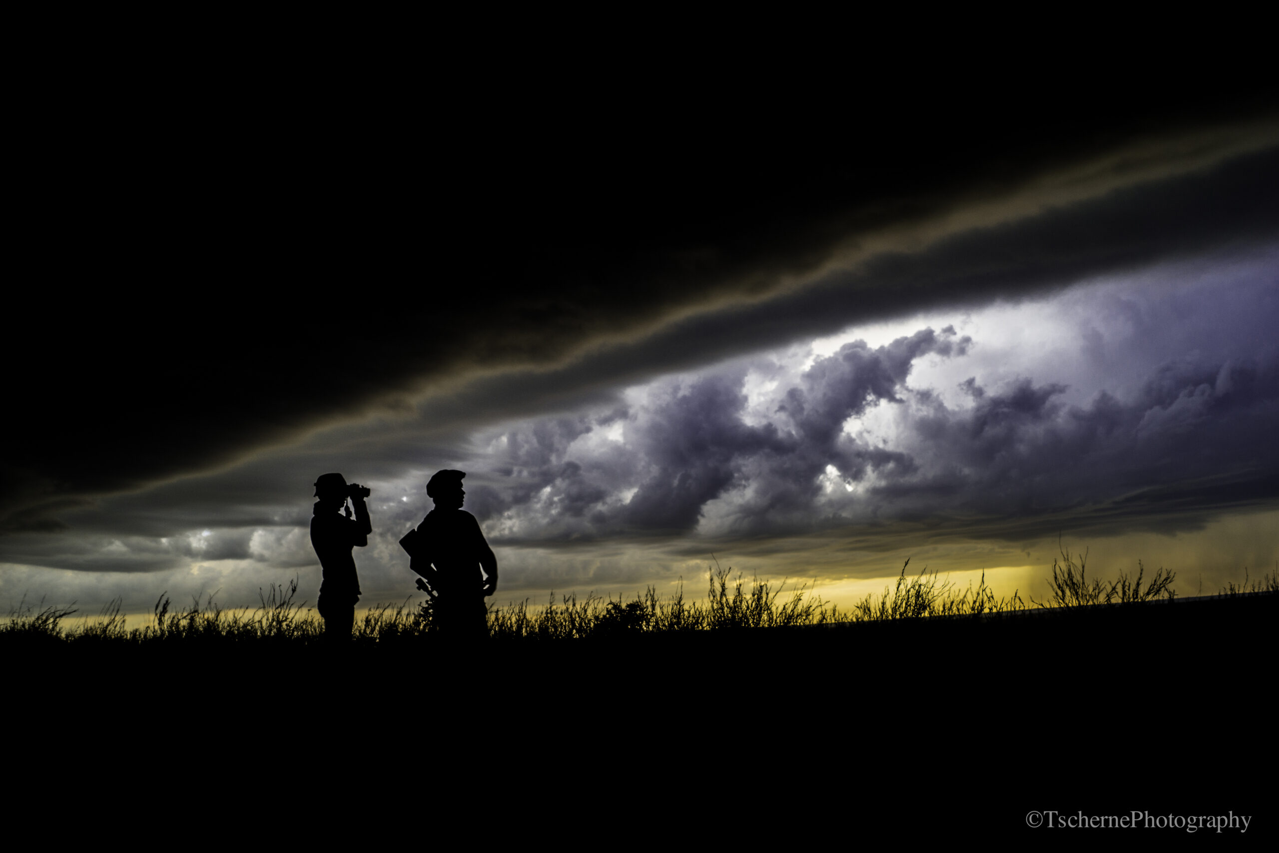 Guides in the field at dusk