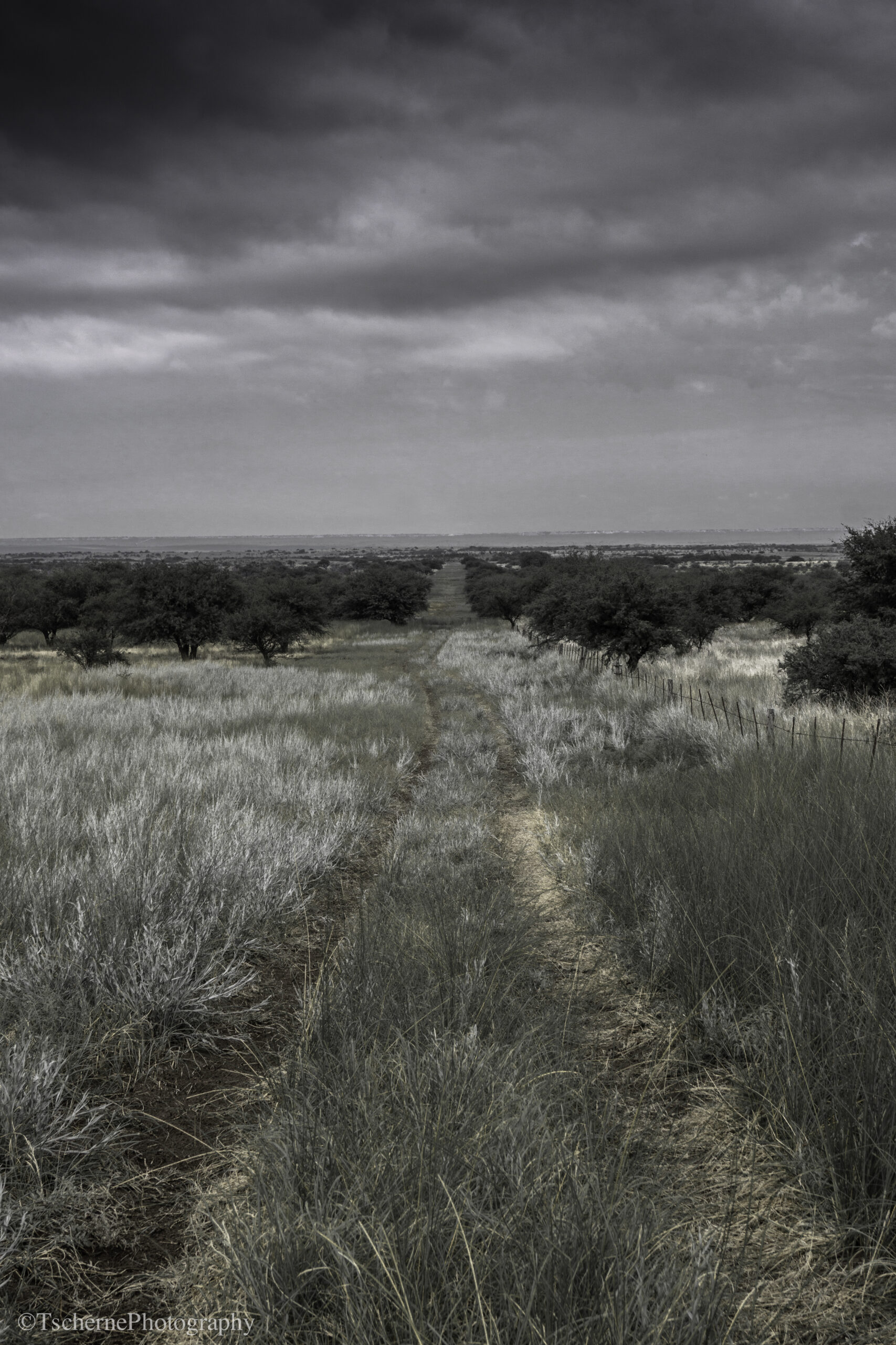La Pampa landscape