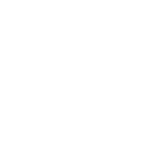 Logo-Los-Araucanos